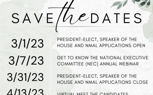 REGISTER NOW: GiANT Leadership Training Session – 5 Gears with Kristy Brittain, PharmD, BCPS, CDCES